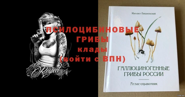 мдма Инсар
