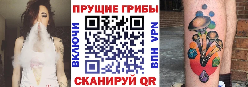 Купить закладки  Правдинск  Галлюциногенные грибы Psilocybe 